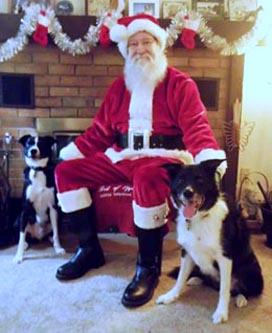 Santa with dogs