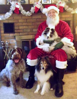 Santa with dogs